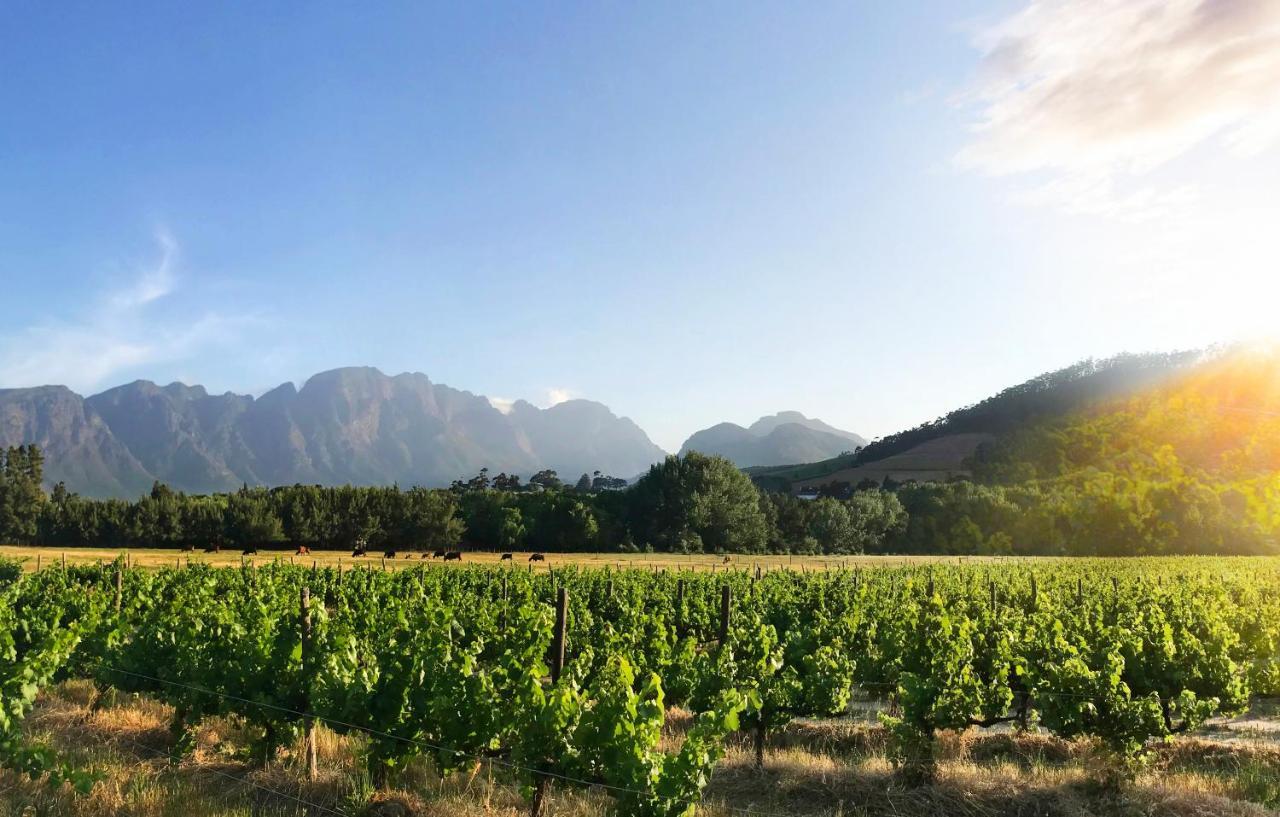 Gite Franschhoek Ngoại thất bức ảnh