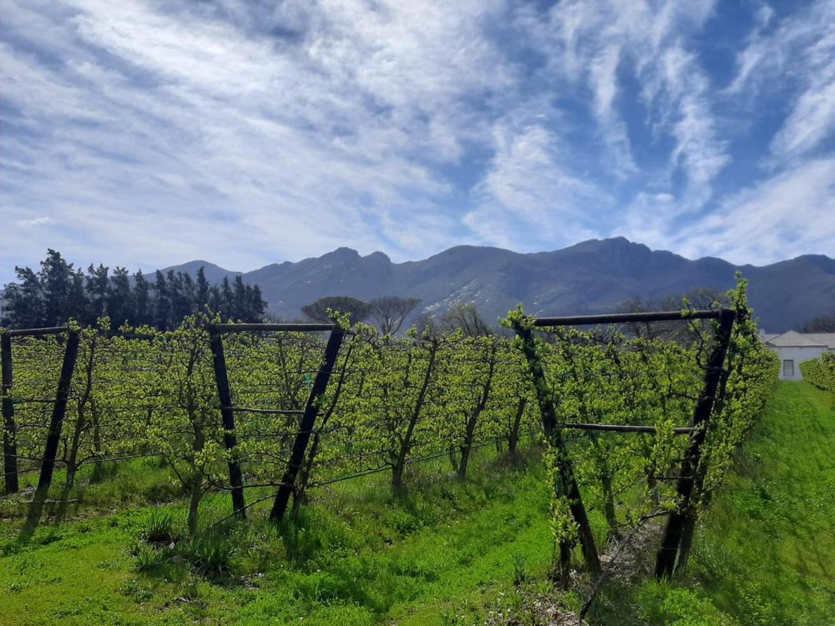 Gite Franschhoek Ngoại thất bức ảnh